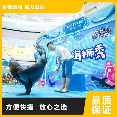 南安市分公司 專業出租表演鸚鵡，打造難忘動物展覽體驗